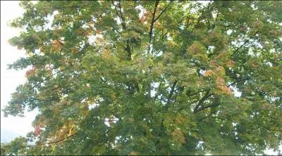 Les priodes 11-20 avril et 14-23 octobre sont sous le signe...