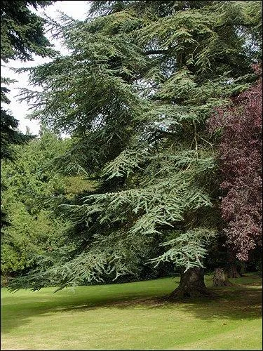 Si vous tes n(e) entre 9-18 fvrier ou 14-23 aot, c'est le signe du...