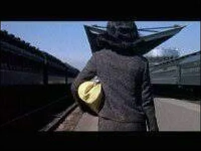 Images introductives du film que cette femme de dos, en gris, aux cheveux noirs, portant un sac jaune