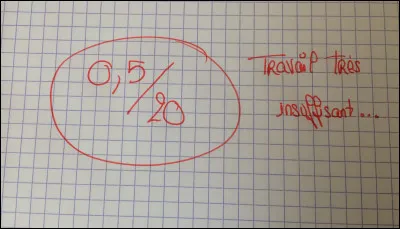 Es-tu un bon ou une bonne élève ?