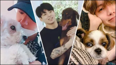 Si tu voulais un animal avec ton bias, que choisiras-tu ?