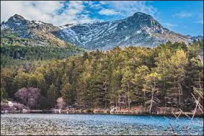 Quel est ce massif montagneux d'Espagne, situé au nord ouest de Madrid, frontière naturelle entre les bassins du Tage et du Douro, et culminant au pic de Peñalara, à 2 428 mètres d'altitude ?