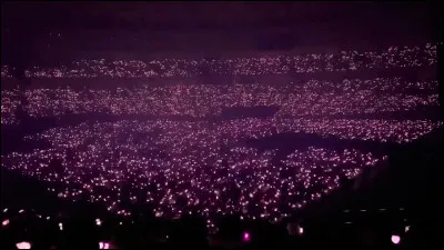 Lequel de ces lightsticks préfères-tu ?