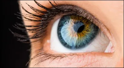 À quoi sert la pupille ?