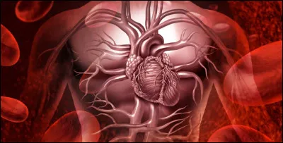 Comme on le sait tous, nous avons du fer dans le corps, nous avons assez de fer pour fabriquer...