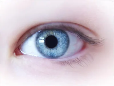 Quels yeux préfères-tu ?