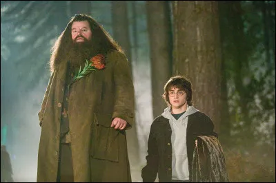 À quel animal ressemble le scroutt à pétard qui est l'objet du premier cours de soins aux créatures magiques donné par Hagrid ?