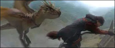 Qui procède à l'examen de baguettes, qui est une étape indispensable pour les quatre concurrents au tournoi ?