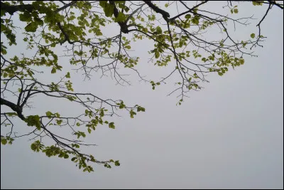 Face à une situation difficile il faut :