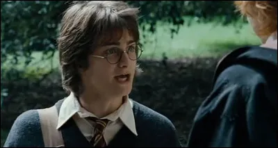 Qui vient rendre visite à Harry avant la troisième tâche ?