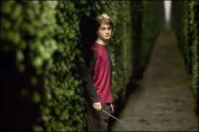 Quelle est la première créature que croise Harry dans le labyrinthe de la troisième tâche ?