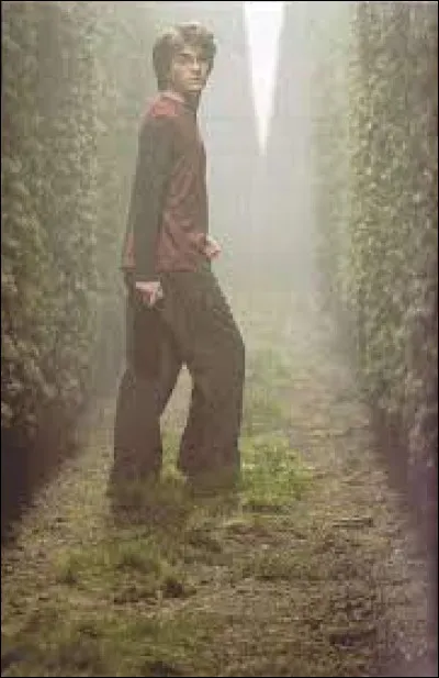 Quelle est la réponse à l'énigme du sphinx ?