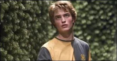 Quelle créature blesse Harry juste avant qu'il attrape le trophée ?