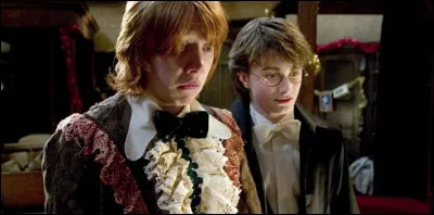 Comment Harry, Ron et Hermione, nomment-ils Sirius lorsqu'ils parlent de lui entre eux ?