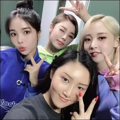 Préfères-tu les girls bands ou les boys bands ?