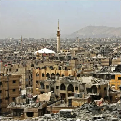 Quel arbre fruitier poss&egrave;de une sous-esp&egrave;ce de Damas ?