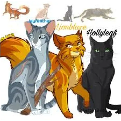 Quelle est ton sentiment quand ta sur mes bas a des chaton ?