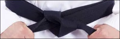 En France, quel âge faut-il avoir pour pouvoir se présenter à l'examen de 1er dan, en judo ?