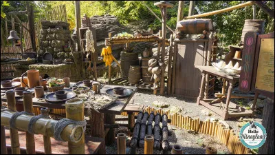 Comment s'appelle cette attraction ?