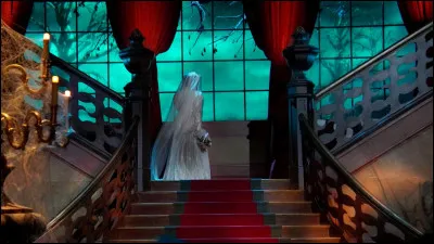 Comment s'appelle cette attraction ?