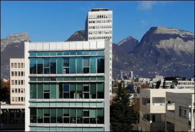 Économie : Dans quel domaine, la ville de Grenoble est-elle pionnière ?
