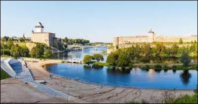 Ce fleuve de 75 km relie le lac Peïpous, dont il est l'émissaire, au golfe de Finlande ; il constitue une partie de la frontière nord entre la Russie et l'Estonie :