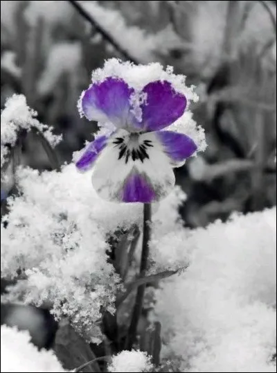 Quand une nouvelle est accueillie avec la plus grande indifférence...