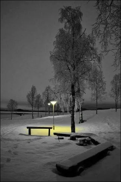 Il chantait "Et quand il fait trop froid dehors je vais chez les Petites Surs des Curs, la solitude ça n'existe pas..." :