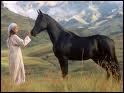 Héros du roman de Anna Sewel, quel est le nom de ce cheval ?