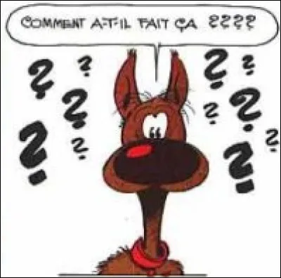 Mais où sont les Daltons ?