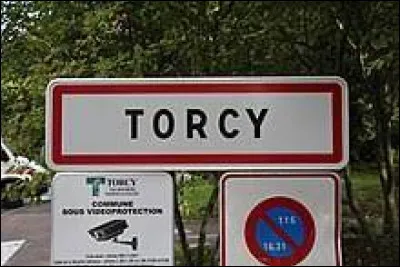Nous terminons notre balade en Île-de-France, à l'entrée de Torcy. Sous-préfecture de son département, située dans le secteur II de la ville nouvelle de Marne-la-Valle, elle se trouve ...
