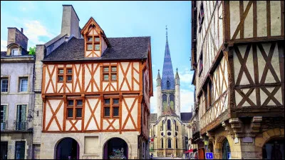 Ville : quel animal est le symbole de la ville de Dijon ?