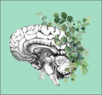 Suite de la question 1 :