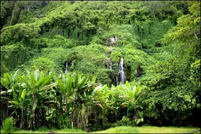 Sport : quel footballeur a commencé sa carrière au JS Saint-Pierroise ?