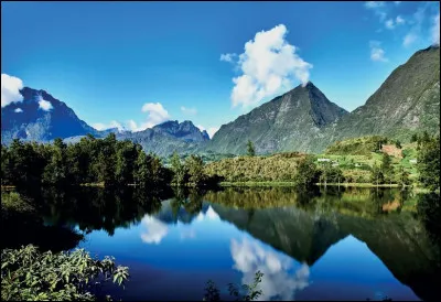Nature : lequel n'est pas oiseau endémique de la Réunion ?