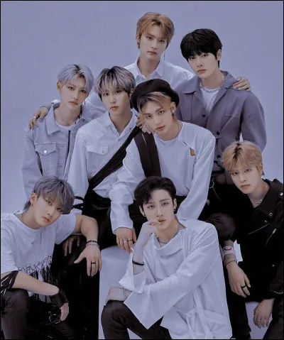 Lequel des membres de Stray Kids est fan de choses sombres, comme les films d'horreur ?