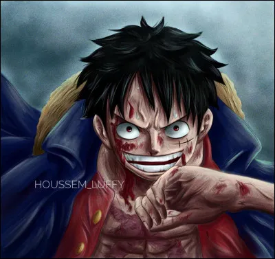 Quel est le plat préféré de Luffy ?