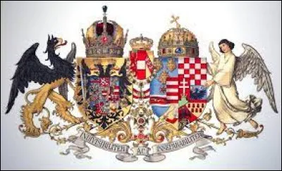 Disparition de l'Empire d'Autriche-Hongrie avec les proclamations d'ind&eacute;pendance de plusieurs nationalit&eacute;s :