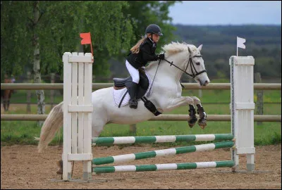 Quelles sont les 6 phases du saut ?