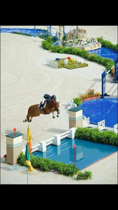 Comment se nomme cet obstacle en cross ?