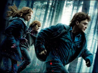 Avec quel autre acteur est-elle devenue amie dans Harry Potter ?