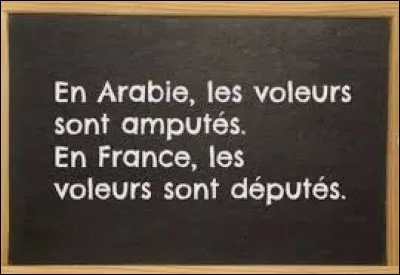 Insecte se nourrissant de feuilles de pommes de terre !
