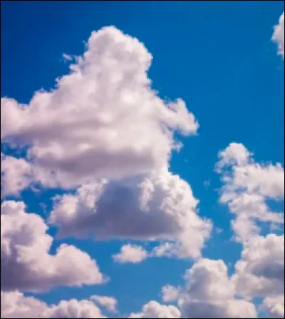 Aurais-tu envie de faire un tour en montgolfi&egrave;re ou de faire un saut en parachute ?