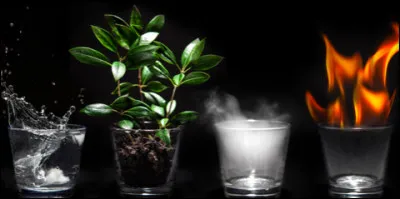 Comment d&eacute;crirais-tu ta personnalit&eacute; en un mot ?