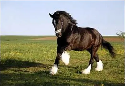 Avant-dernière question.
Cette photo est-elle belle, selon toi ?