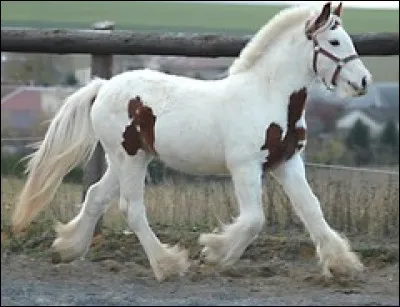 Comment tes amis te caractérisent-ils le plus ?