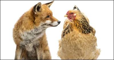 Il y a un grain de maïs, une poule, un renard et un homme.
Ils doivent tous rentrer dans une barque qui ne peut contenir que deux personnes...
Comment fait-on ?
