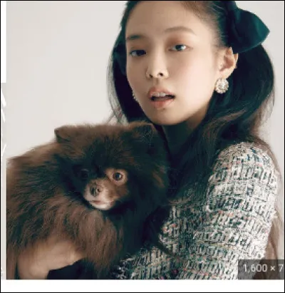 Comment s'appelle leur chien ?