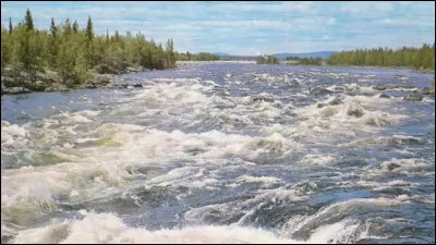 À quel compositeur doit-on la magnifique musique de "La Moldau" ?