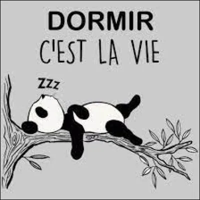 Lequel de ces animaux associe-t-on à un sommeil très long et très profond ?